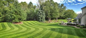 Lawn stripes 2
